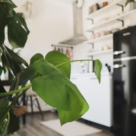Urban Jungle Apartment - Free Parking Lublaň Exteriér fotografie