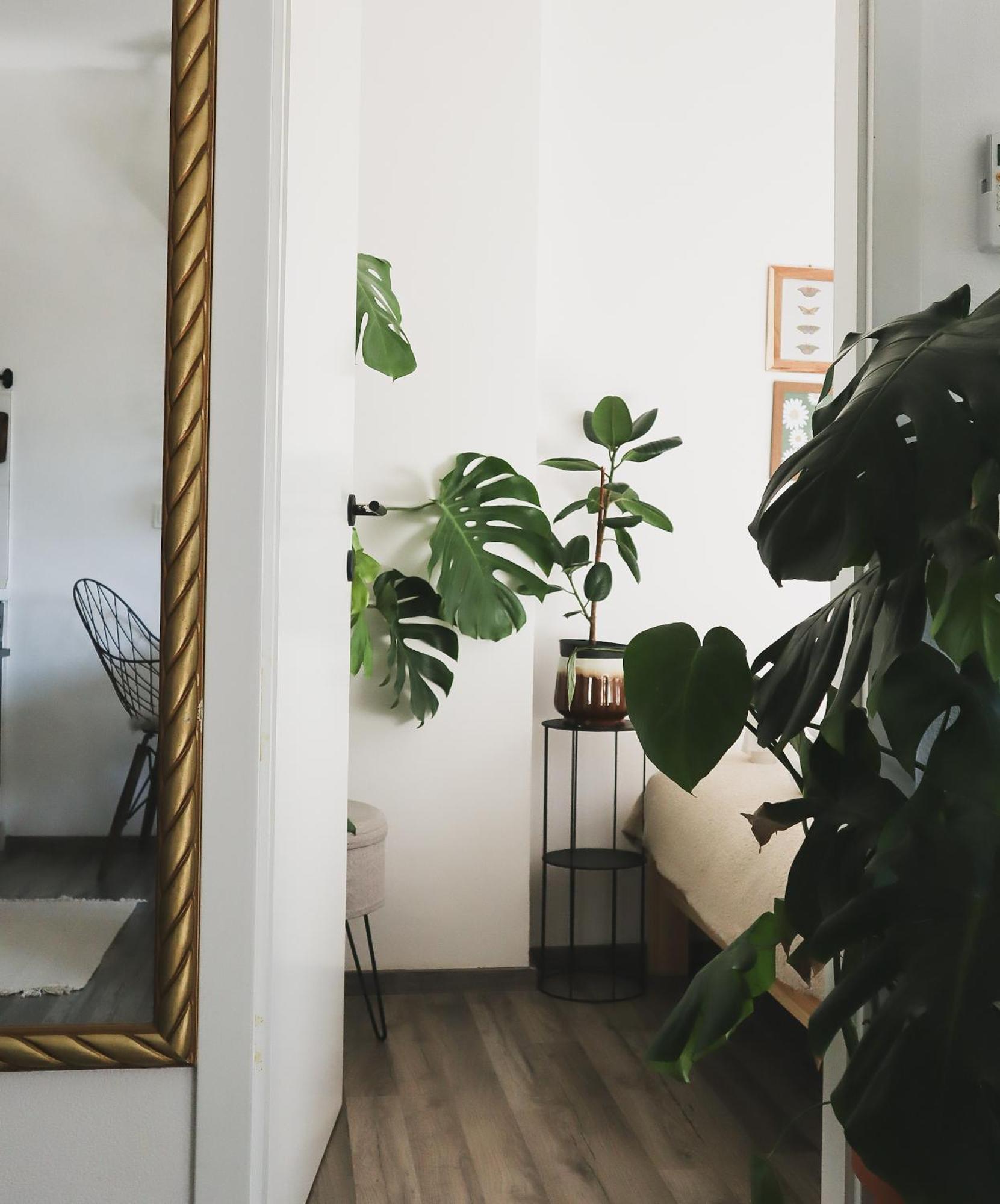 Urban Jungle Apartment - Free Parking Lublaň Exteriér fotografie