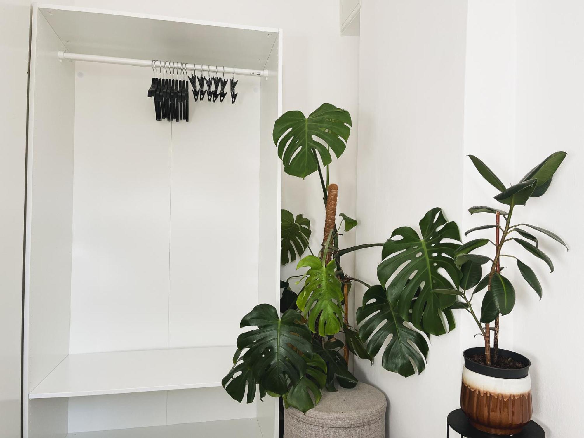 Urban Jungle Apartment - Free Parking Lublaň Exteriér fotografie